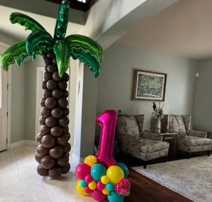 Custom Balloon Decor Carmichael CA