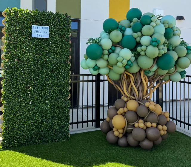 Custom Balloon Tree Elverta CA