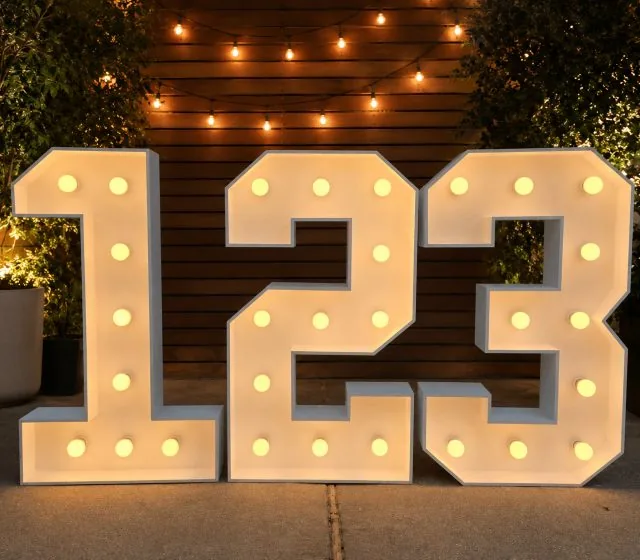 4 ft Light-Up Numbers Granite Bay CA
