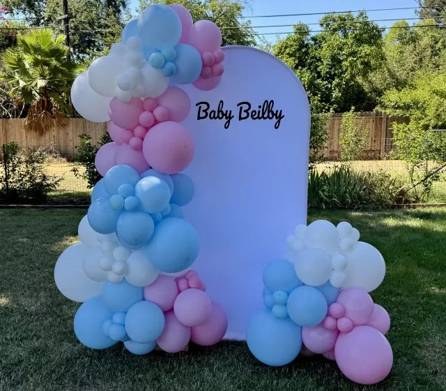 He-or-She Backdrop Granite Bay CA