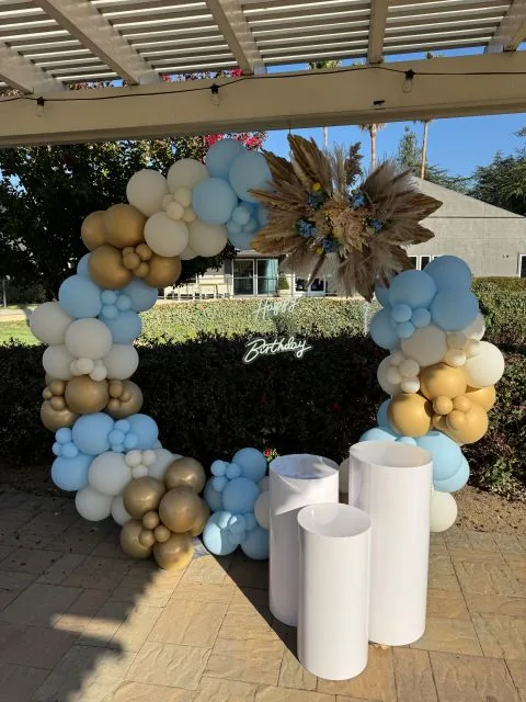Balloon ring display backdrop in Sacramento CA
