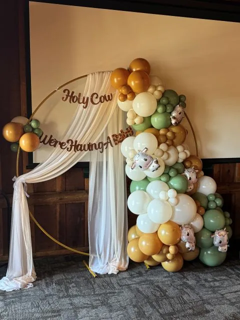 Balloon ring display backdrop in Sacramento CA