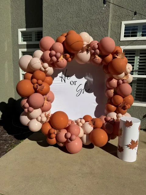 Balloon ring display backdrop in Sacramento CA