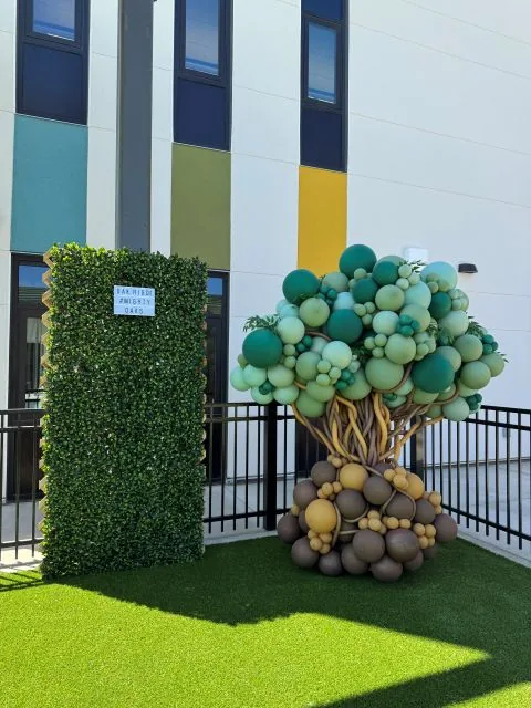 Custom balloon decoration in Sacramento CA