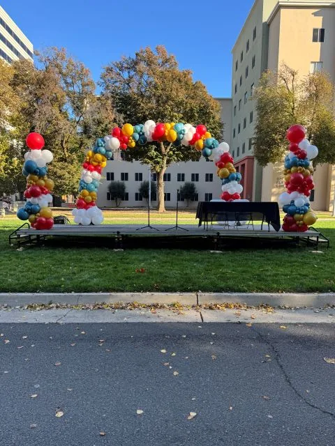 Organic balloon arch in Sacramento CA