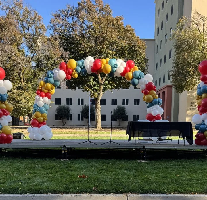Organic Balloon Arch in Rosemont CA by Air Up Balloons