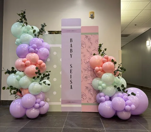 Balloon Arch Backdrop Sacramento CA
